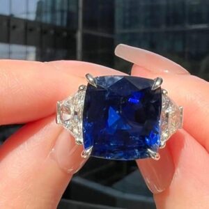 jem-sakuraholdings (1)