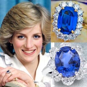 jem-sakuraholdings (1)