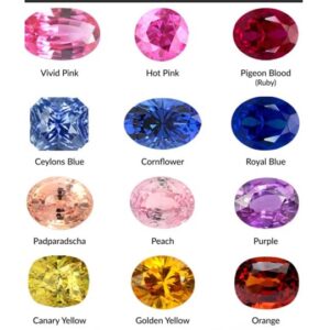 jem-sakuraholdings (4)